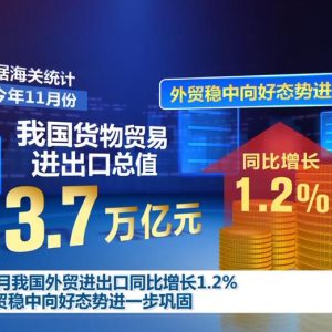 新型工业化、新科技、新市场……“新”说中国经济步步向前缩略图